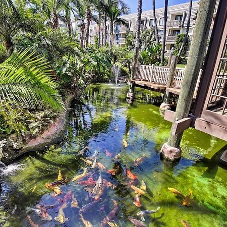 Charming Oceanside Condo With Beach And Pool Access! Luaran gambar