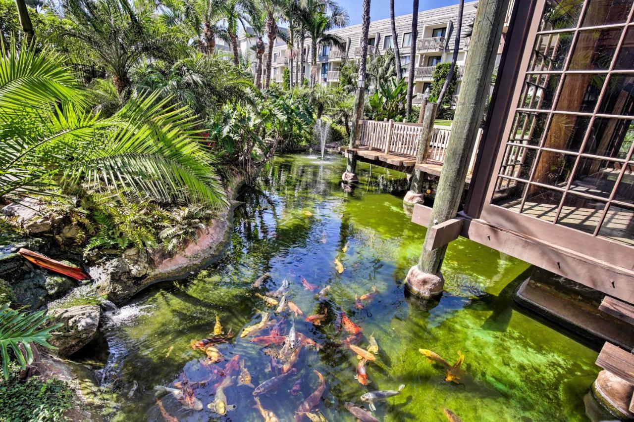 Charming Oceanside Condo With Beach And Pool Access! Luaran gambar